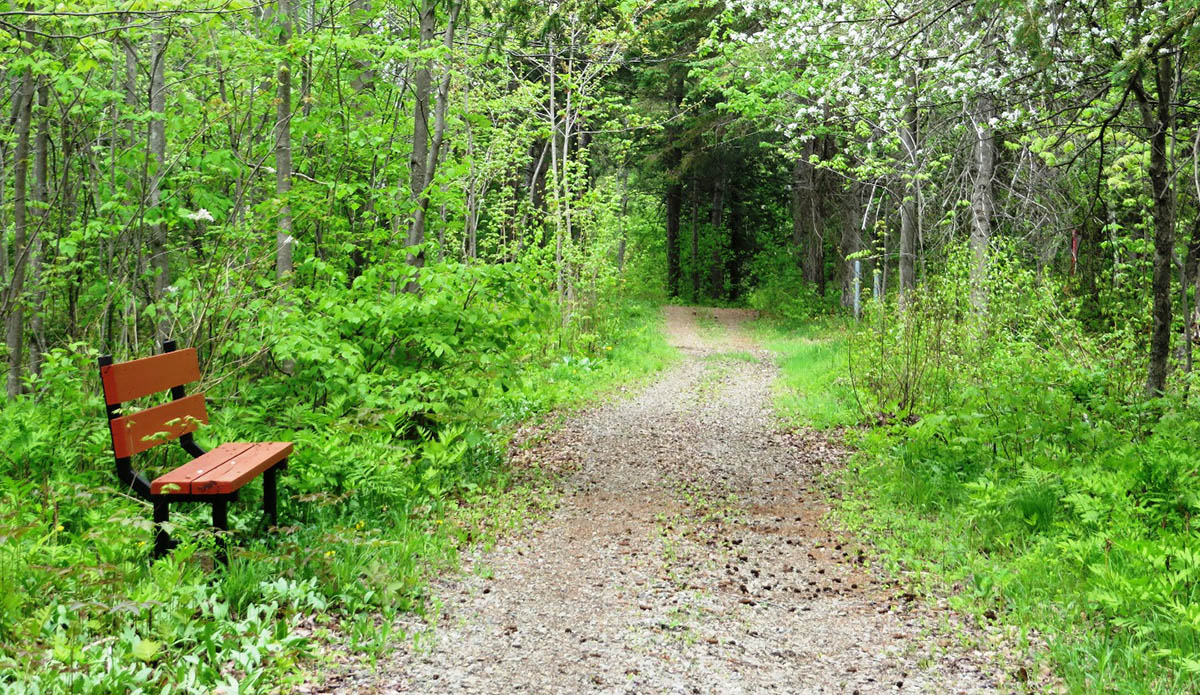 Accueil Municipalité de SainteAgathedeLotbinière